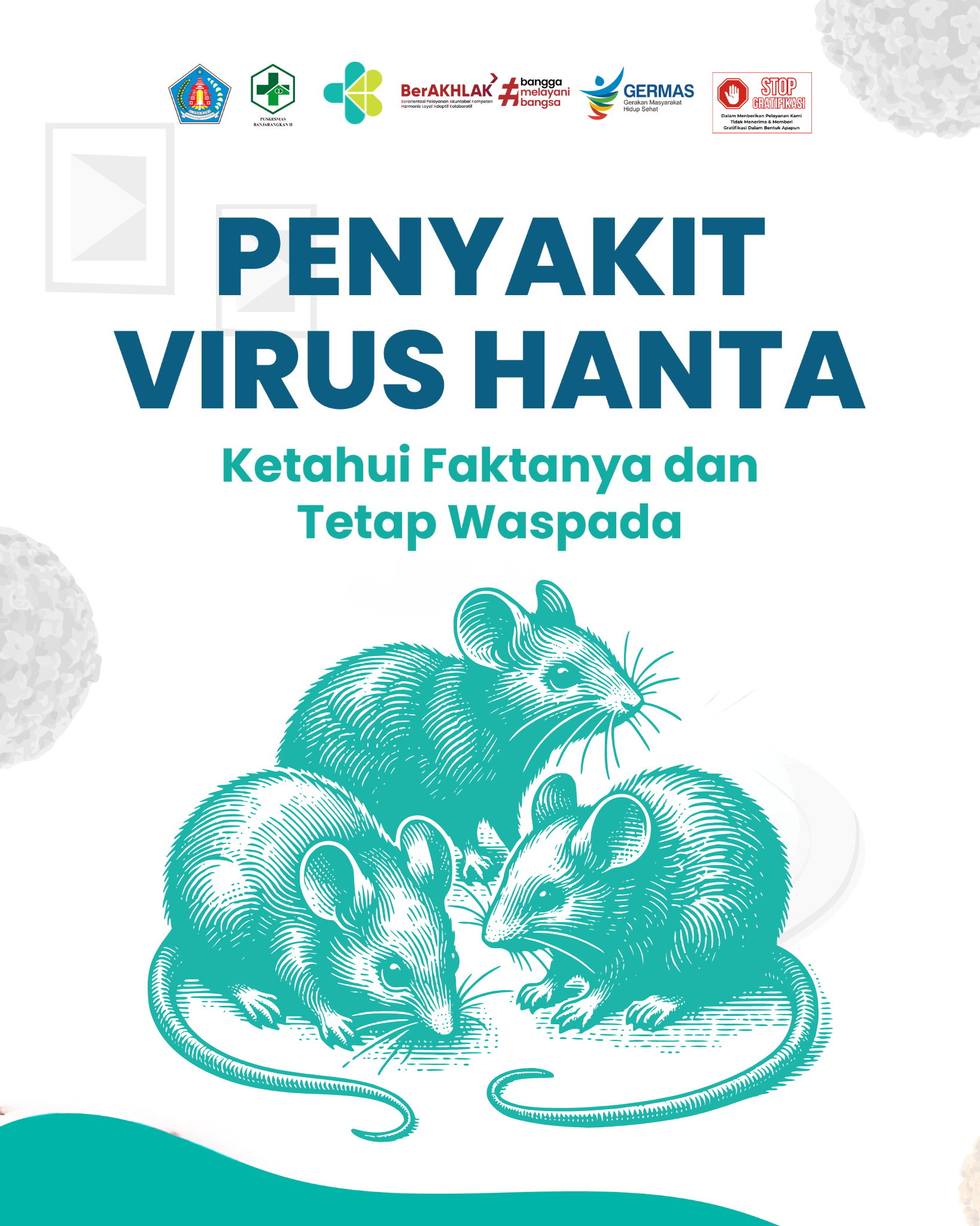 WASPADA HANTA VIRUS